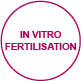 fortpflanzung invitrovertilisation