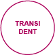 geschlechtsidentitaet transident
