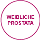 innenansichten prostata