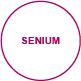 lebesphasen senium