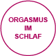 orgasmus orgasmusimschlaf