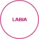 exteriorview labia