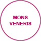 exteriorview monsveneris