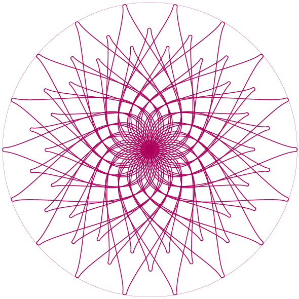 vaginalogie-lotus