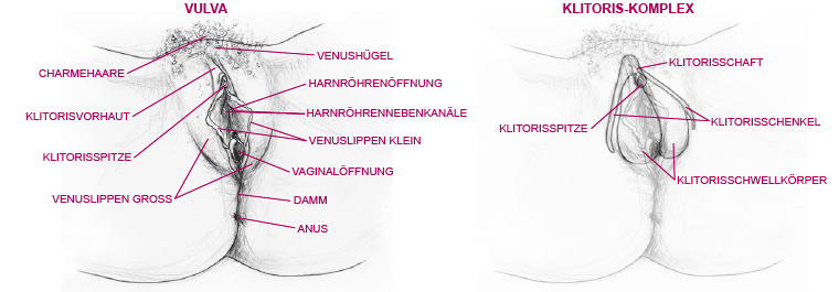aussenansicht at
