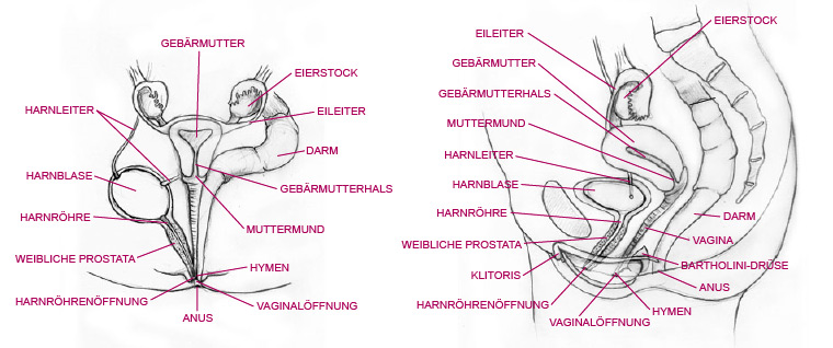 innenansicht at
