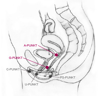 points-innen at